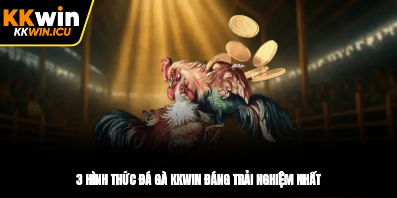 3 hình thức đá gà KKWIN đáng trải nghiệm nhất 3 hình thức đá gà KKWIN đáng trải nghiệm nhất