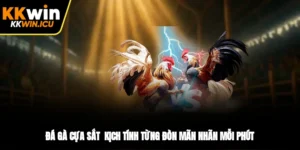 Đá Gà Cựa Sắt - Kịch Tính Từng Đòn, Mãn Nhãn Mỗi Phút