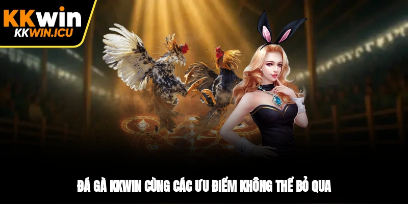 Đá gà KKWIN cùng các ưu điểm không thể bỏ qua Đá gà KKWIN cùng các ưu điểm không thể bỏ qua